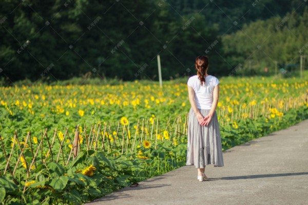 武汉酒店桑拿哪家最贵？揭秘豪华体验！